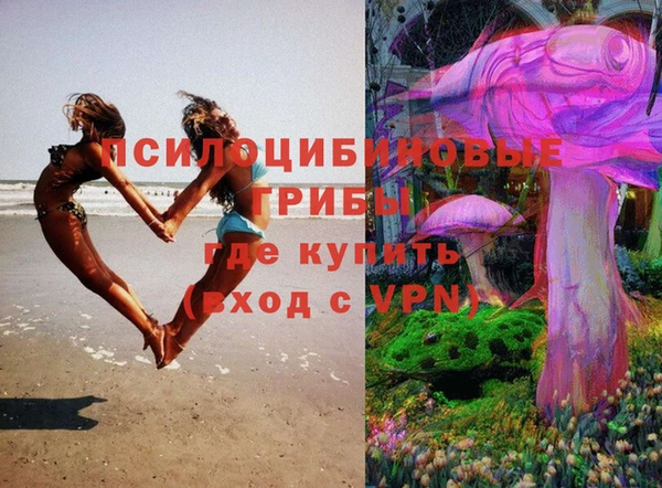 прущие крисы Богданович