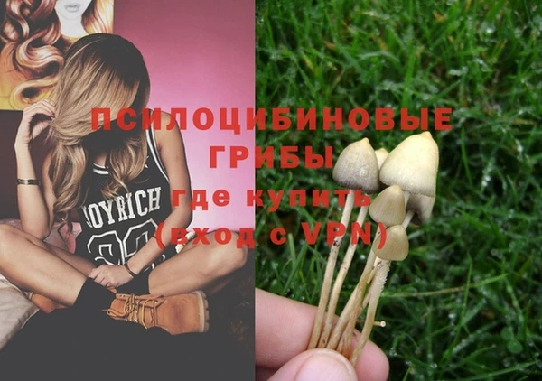 герыч Богородицк