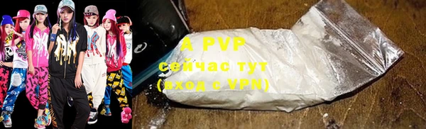 прущие крисы Богданович